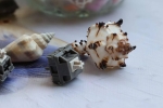 [GB] Hillstone Switch